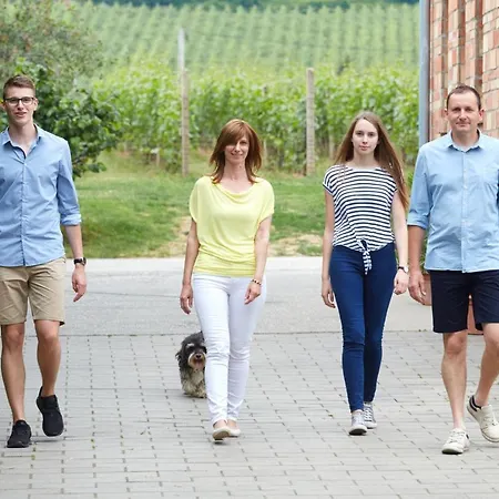 Vojtek Pince Vendeghaz Pensiune